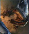 Avatar de l’utilisateur
